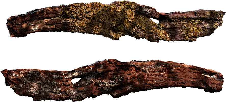 wooden log 004 — Descargar