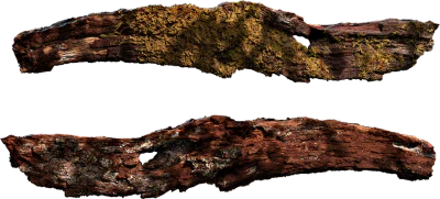 wooden log 004 — Descargar