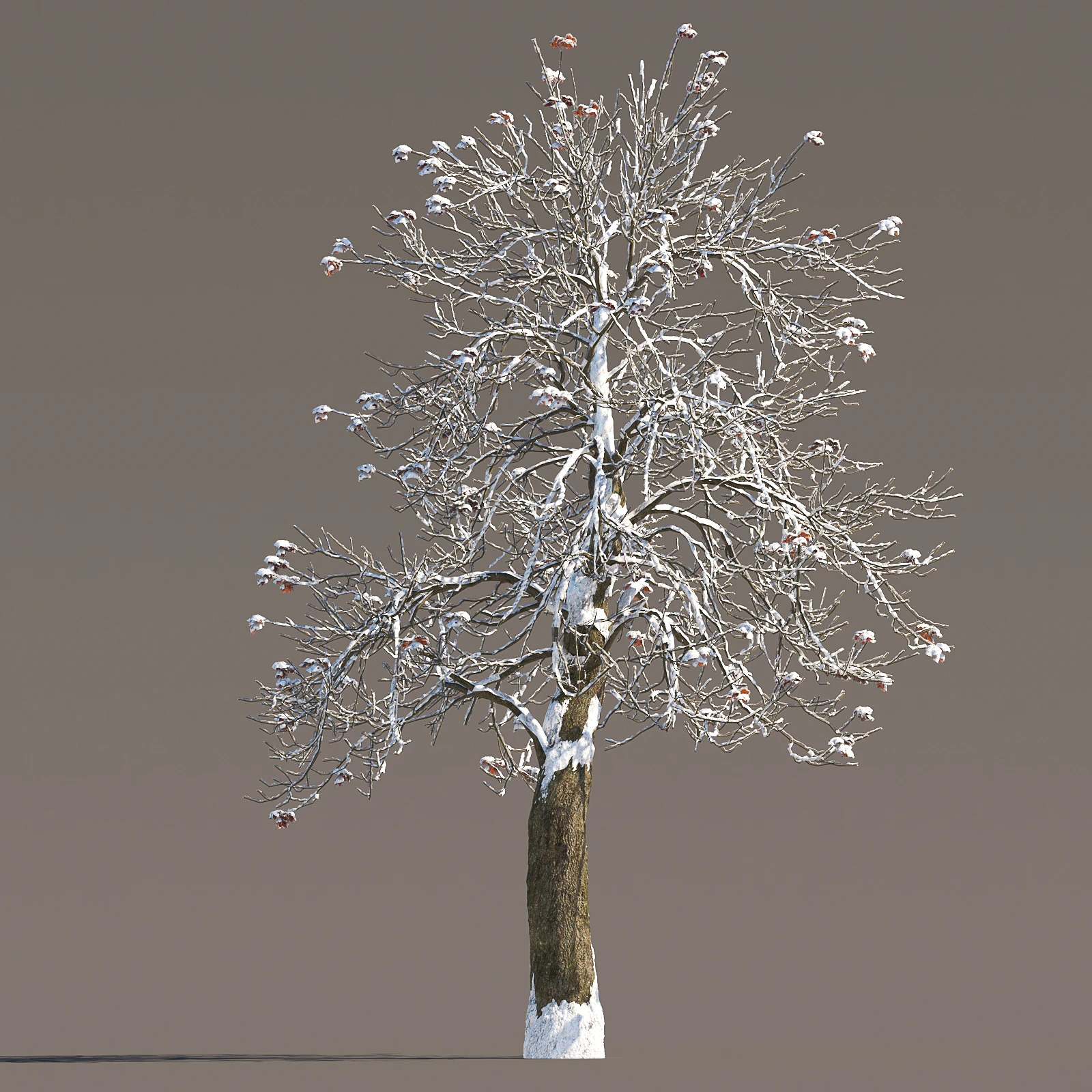 053 winter — Descargar