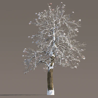 053 winter — Descargar