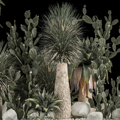 Collection of tropical plants of the desert 1117. cactus, yucca, prickly pear, thickets, bushes, garden, dracaena — Ver 2