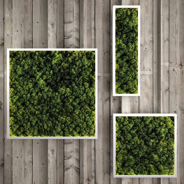 Moss modules — Descargar