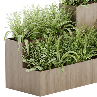 indoor plant Set 21 — Вид 2