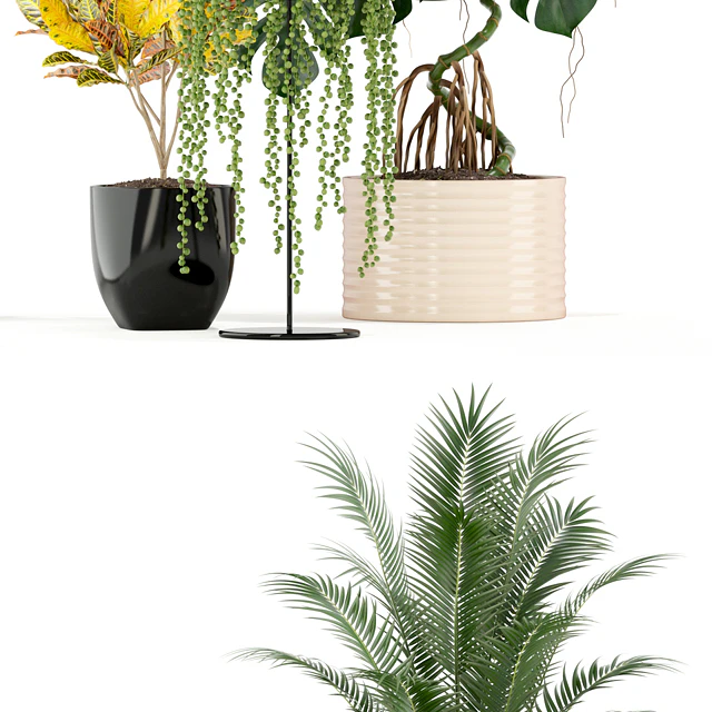 Plants collection 124 — Скачать