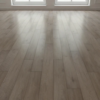 Laminate. Parquet. 171 — Ver 2
