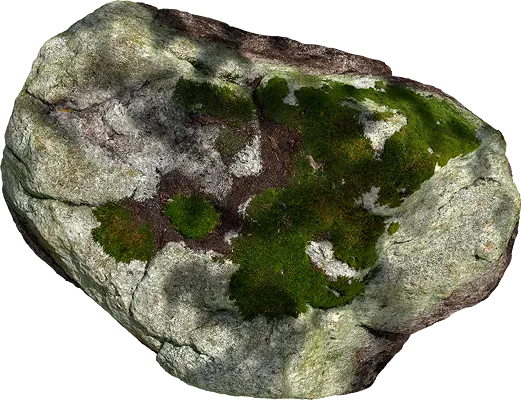 mossy flat stone 001 — Descargar