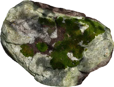 mossy flat stone 001 — Descargar