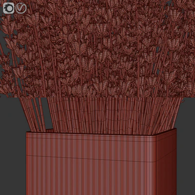 Dry flowers 5 lavender — Вид 2