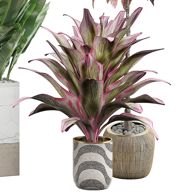 INTERIOR FLOWER PACK 29 — Descargar