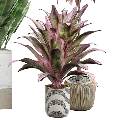 INTERIOR FLOWER PACK 29 — Ver 2