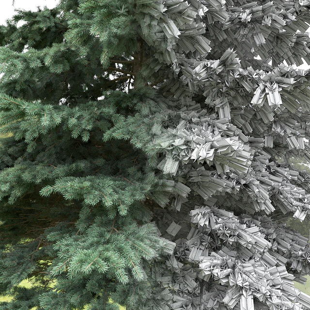 Spruce — Descargar