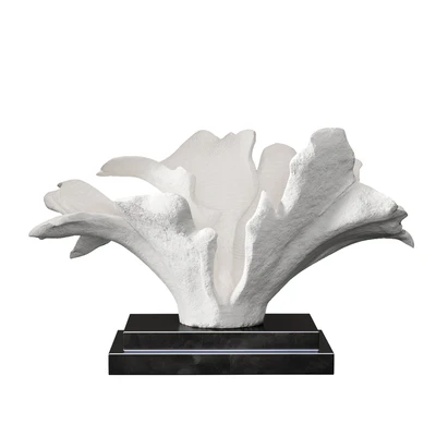 Coral Set 4 — View 2