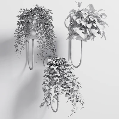 collection Indoor plant 101 vase metal stand wall plant — Ver 2
