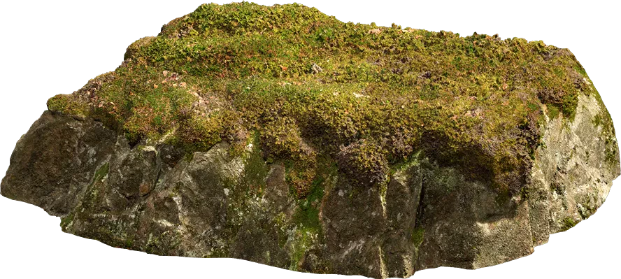 nordic forest ledge rock medium 002 — Скачать