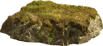 nordic forest ledge rock medium 002 — Скачать