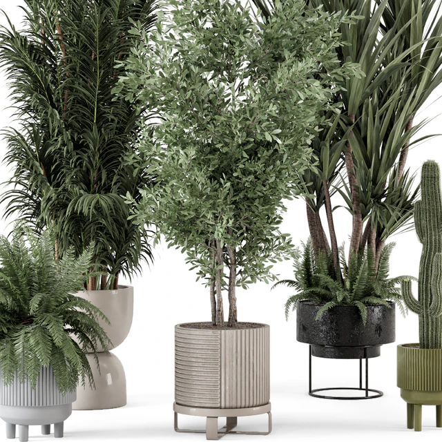 Indoor Plants in Ferm Living Bau Pot Large - Set 362 — Скачать