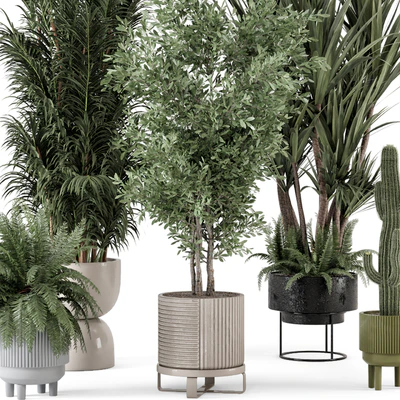 Indoor Plants in Ferm Living Bau Pot Large - Set 362 — Вид 4