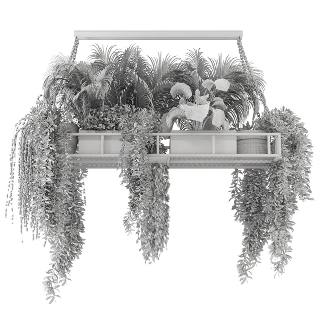 Indoor Hanging Plants in Metal Box - Set 71 — Скачать