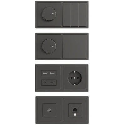 Sockets and switches / Lezard Rain. — Ver 2