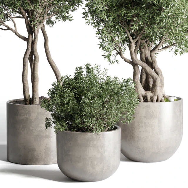 Collection Outdoor Indoor plant 77 concrete dirt vase pot tree bush — Скачать