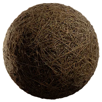 pine needles 009 — Descargar