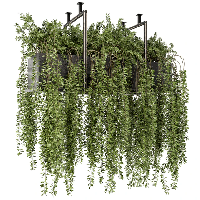 Indoor Hanging Plants in Metal Box - Set 303 — Скачать