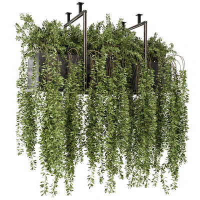 Indoor Hanging Plants in Metal Box - Set 303 — Вид 1
