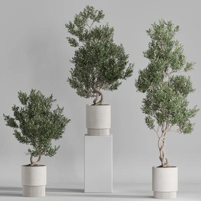 Plants collection 735 — Ver 2