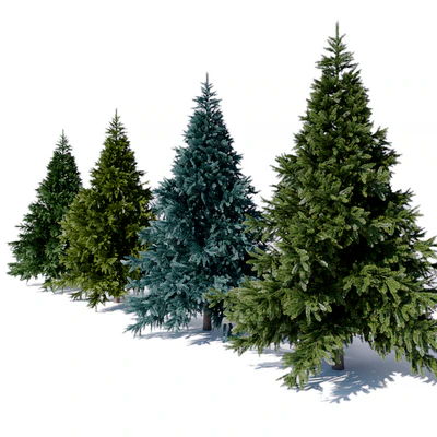 Prickly spruce 3m — Ver 2
