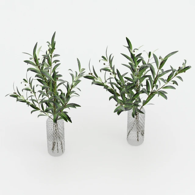 Bouquets of olives. — Descargar