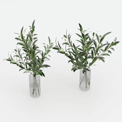 Bouquets of olives. — Ver 2