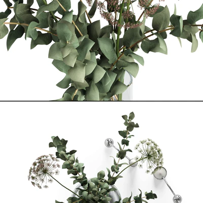 Eucalyptus and Anna's lace with decor — Ver 2