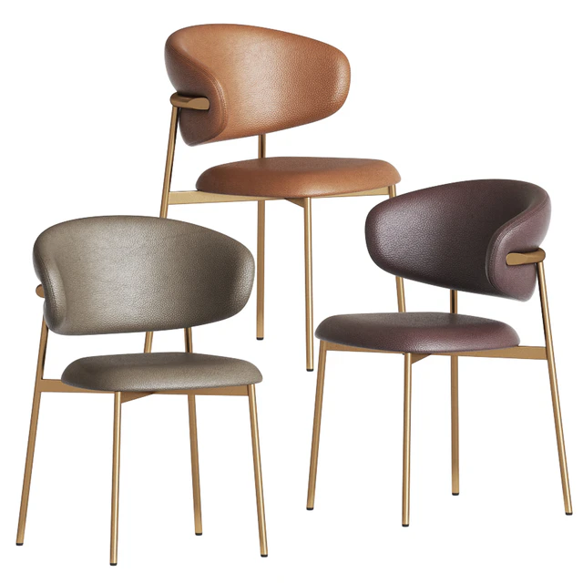 Calligaris Oleandro Dining Chair — Descargar