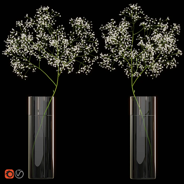 Gypsophila flower in vase / Цветок гипсофила в вазе — Скачать
