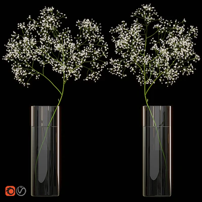 Gypsophila flower in vase / Цветок гипсофила в вазе — Вид 1