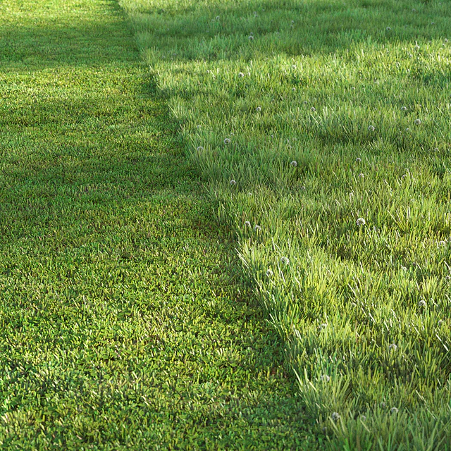 Sports turf — Descargar
