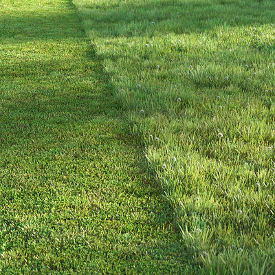 Sports turf — Ver 1