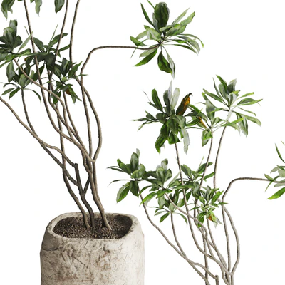 Tree in stone Planter — Ver 2