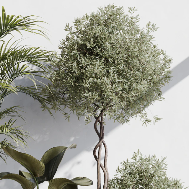 indoor plant set 71 — Скачать