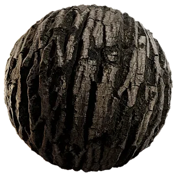 walnut tree bark 003 — Descargar