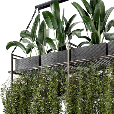Indoor Hanging Plants in Metal Box - Set 269 — Ver 2