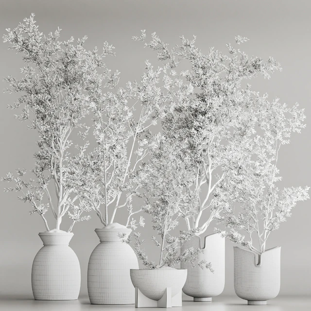 Indoor Plant Set 79 — Descargar