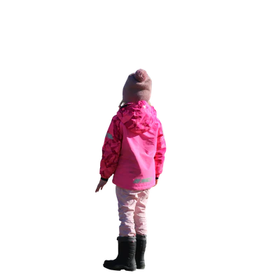 2647 — Скачать