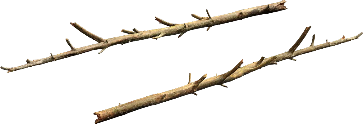 nordic forest tree log small 002 — Скачать