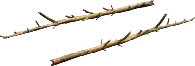 nordic forest tree log small 002 — Скачать
