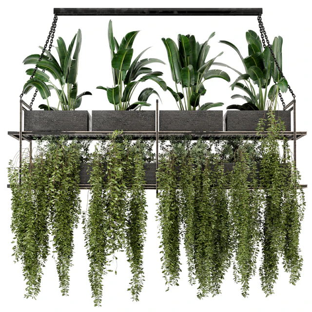 Indoor Hanging Plants in Metal Box - Set 269 — Descargar