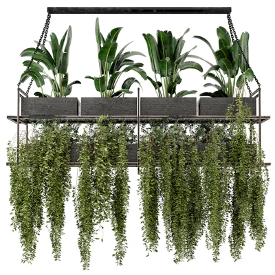 Indoor Hanging Plants in Metal Box - Set 269 — Ver 3