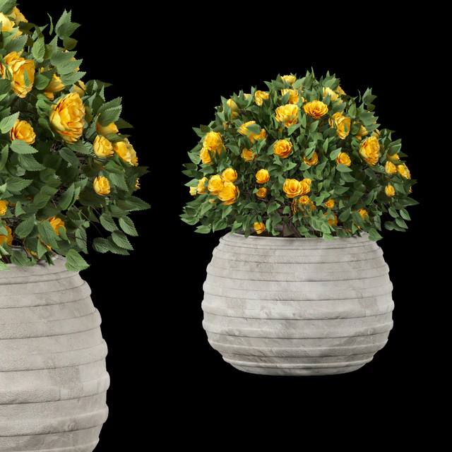 collection flowering bush vol 16 — Скачать