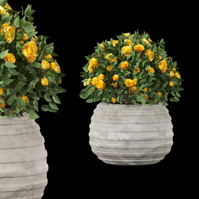 collection flowering bush vol 16 — Вид 2