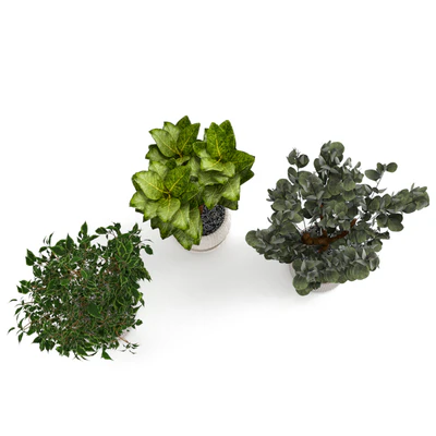 Houseplants set — Ver 2